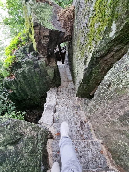 와이폴리싱 PC 이미지 1596200